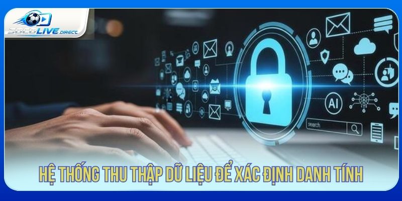 Hệ thống xử lý dữ liệu người dùng trên Socolive